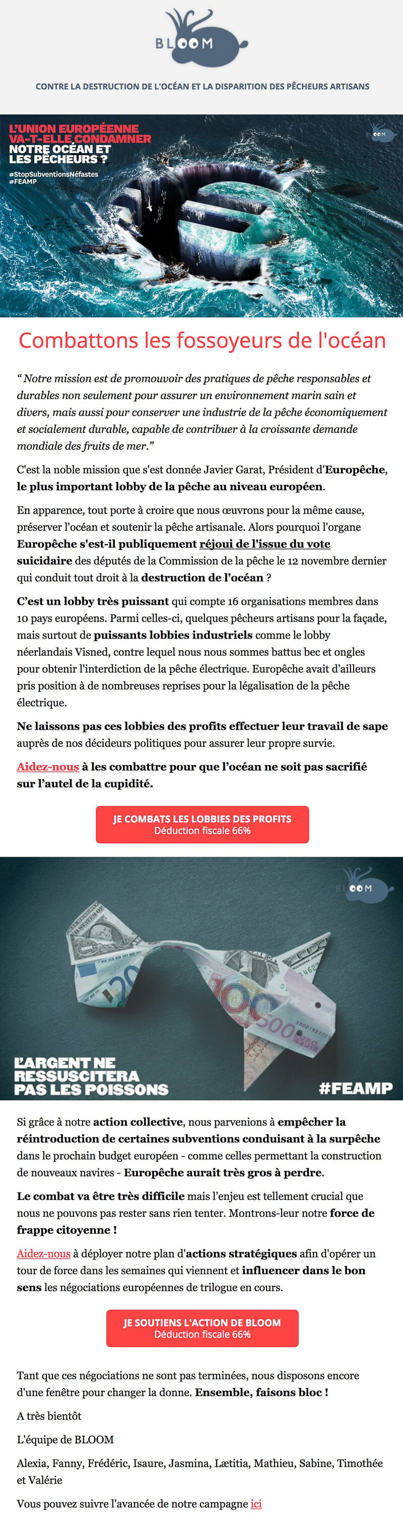 Newsletter BLOOM