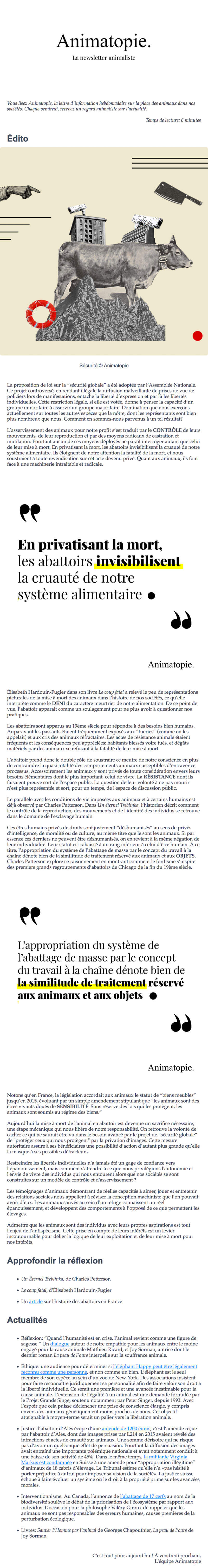 Newsletter Animatopie