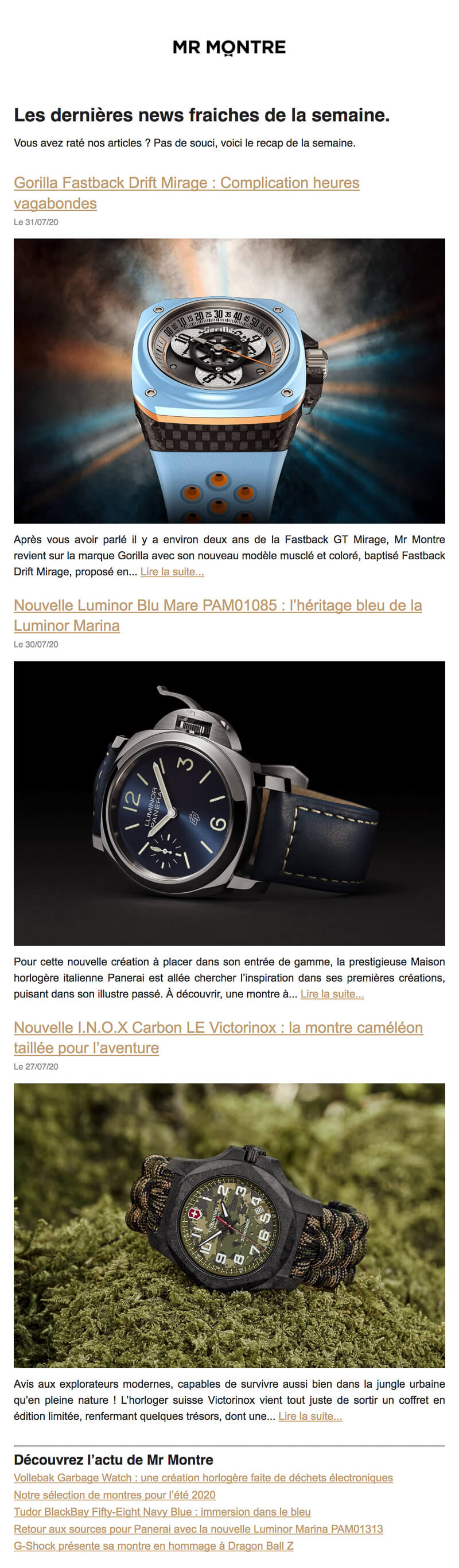 Newsletter Mr Montre