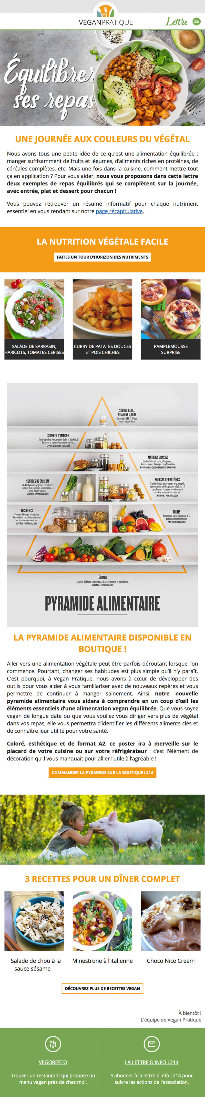Newsletter Vegan Pratique