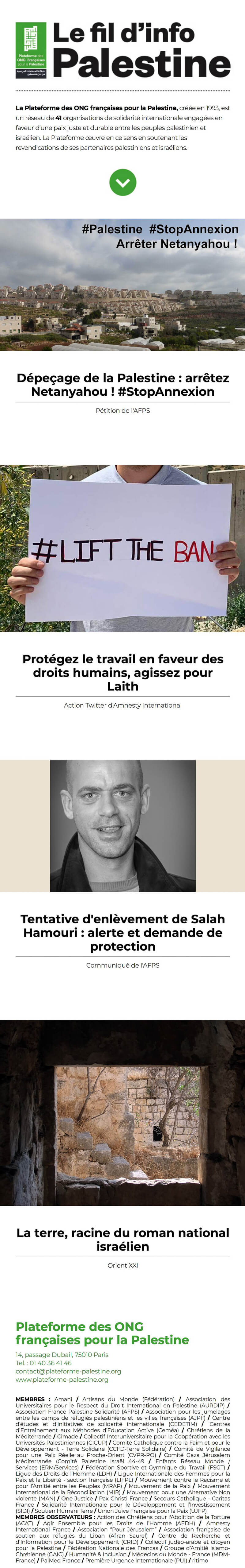 Newsletter Plateforme Palestine