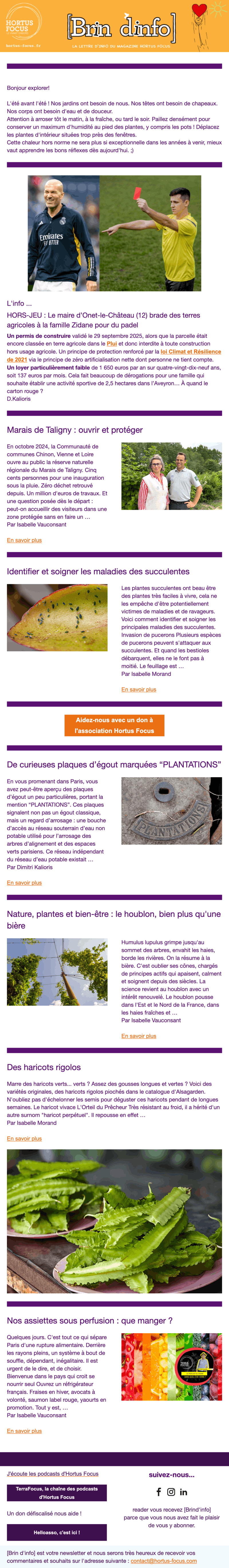 Newsletter Hortus Focus
