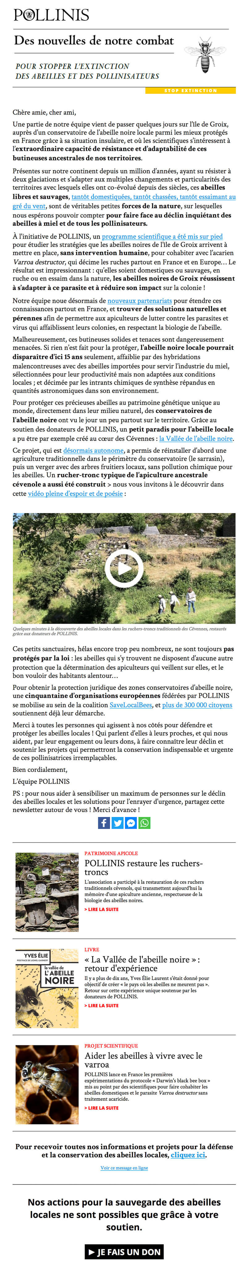 Newsletter Pollinis