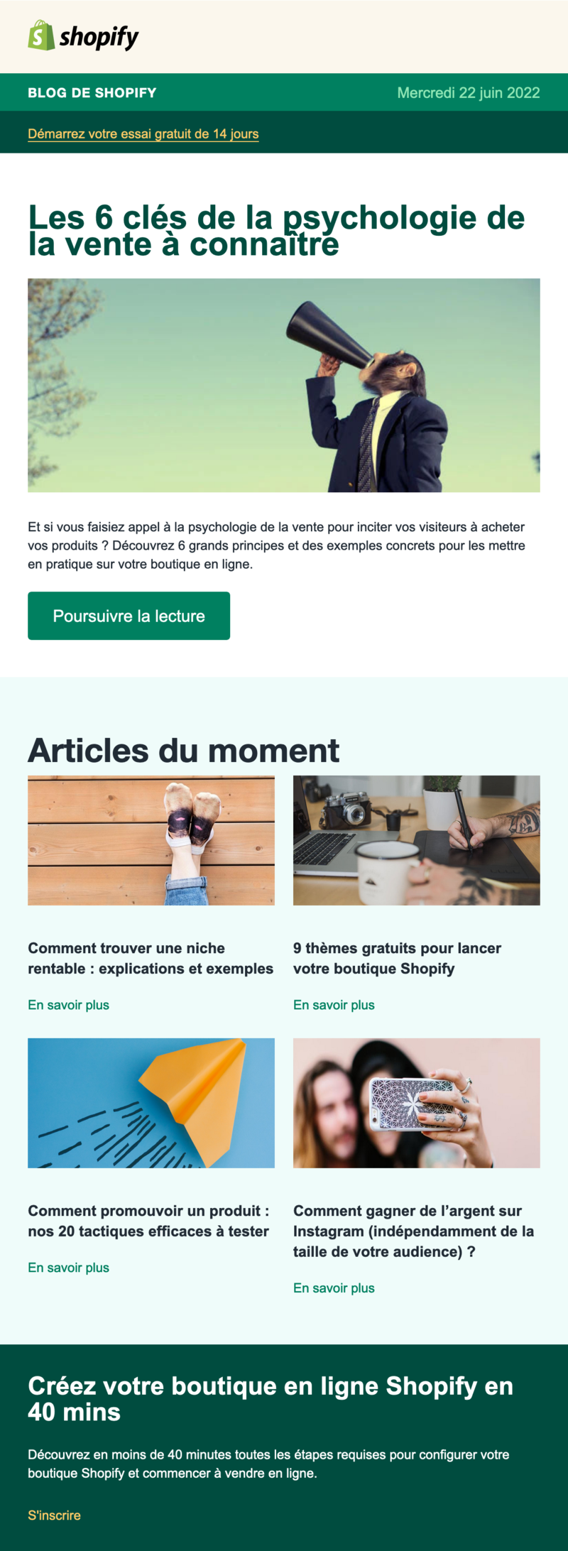 Newsletter Shopify