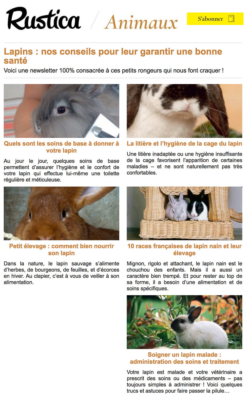 Newsletter Rustica animaux