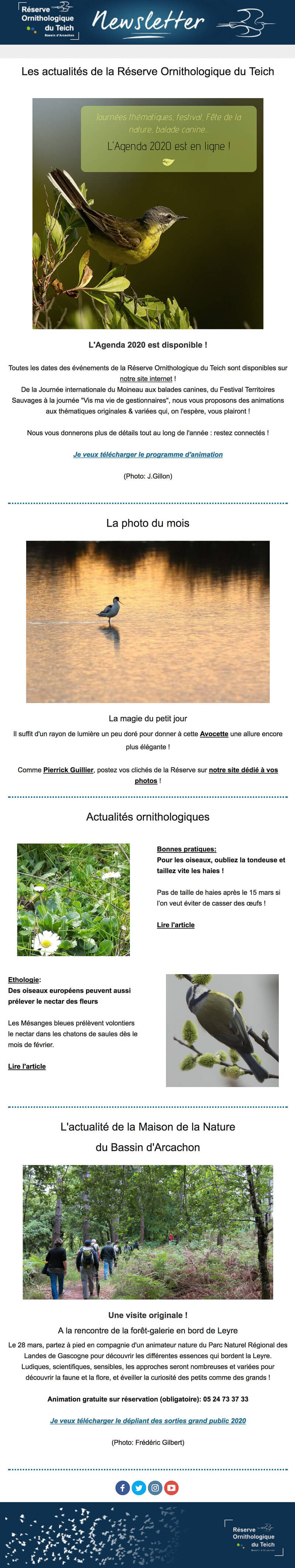 Newsletter Réserve Ornithologique du Teich