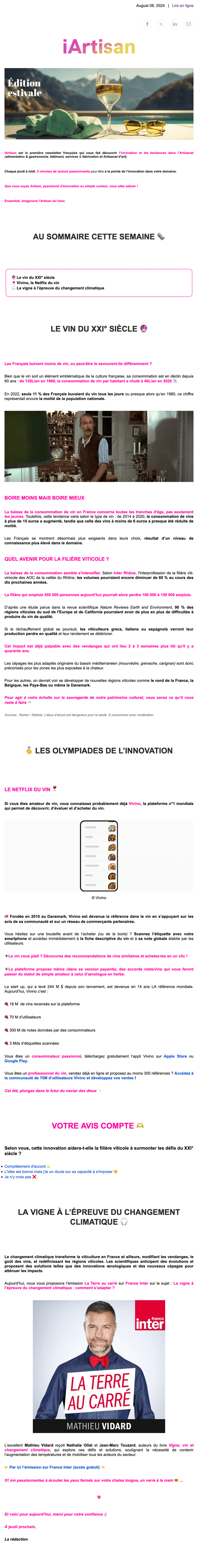 Newsletter iArtisan