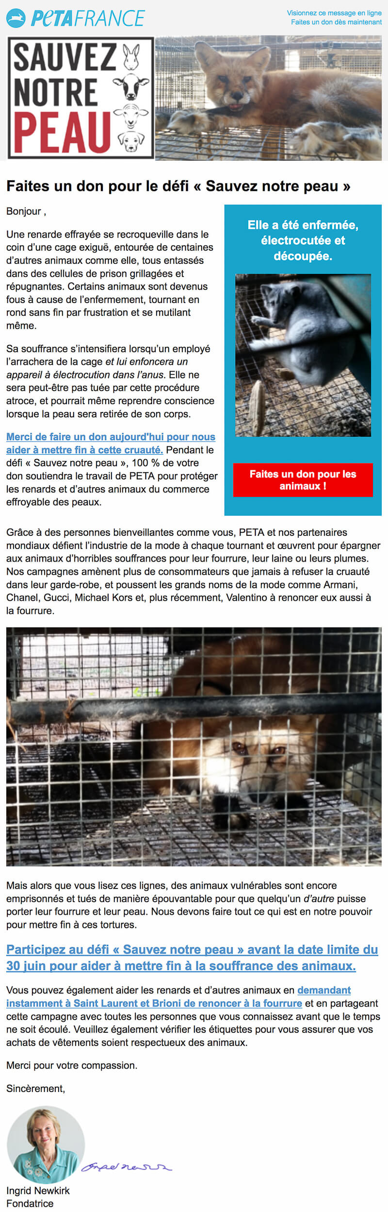 Newsletter PETA France