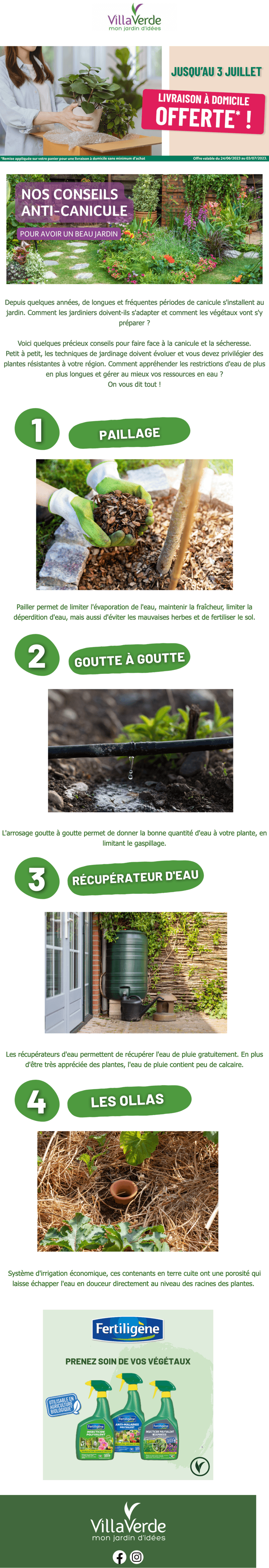Newsletter VillaVerde