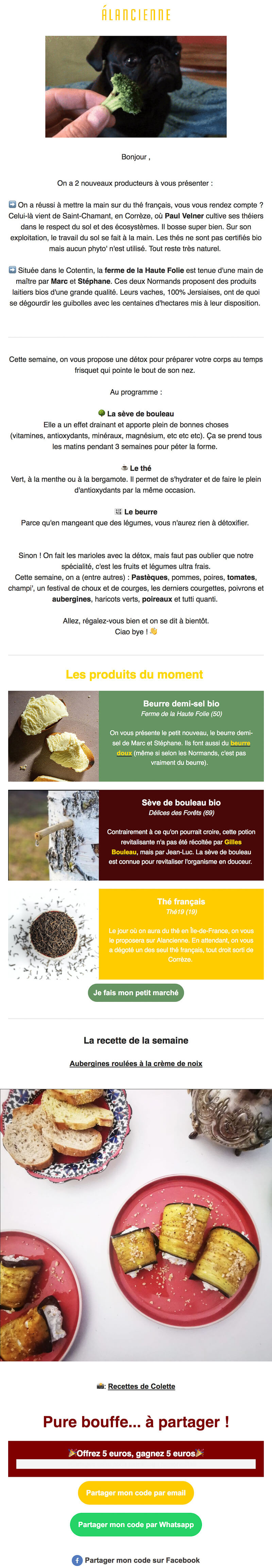 Newsletter Alancienne