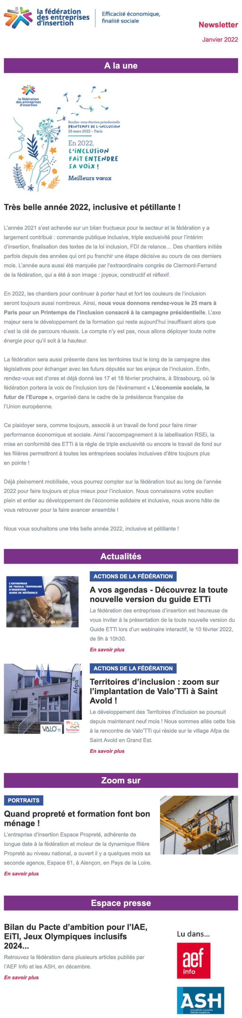 Newsletter Fédération des entreprises d'insertion