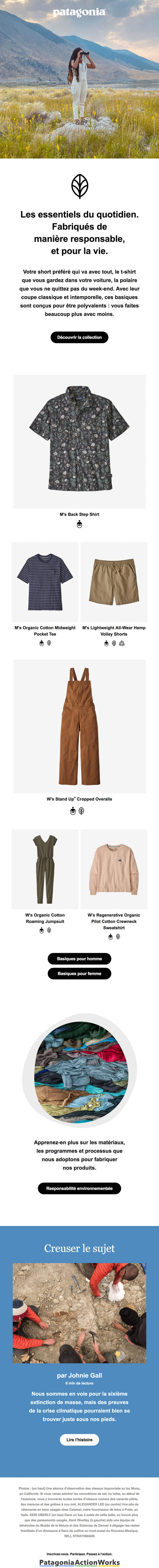 Newsletter Patagonia