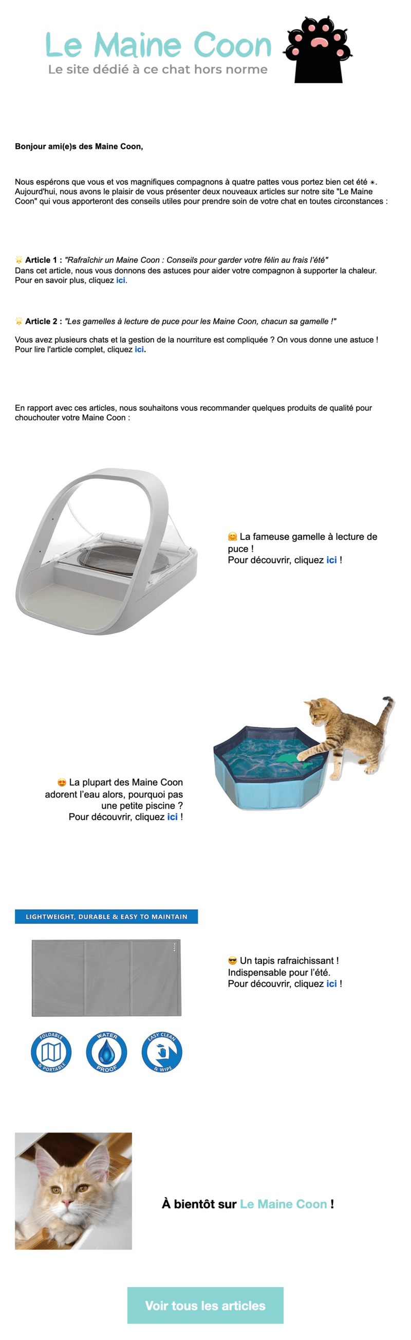 Newsletter Le Maine Coon