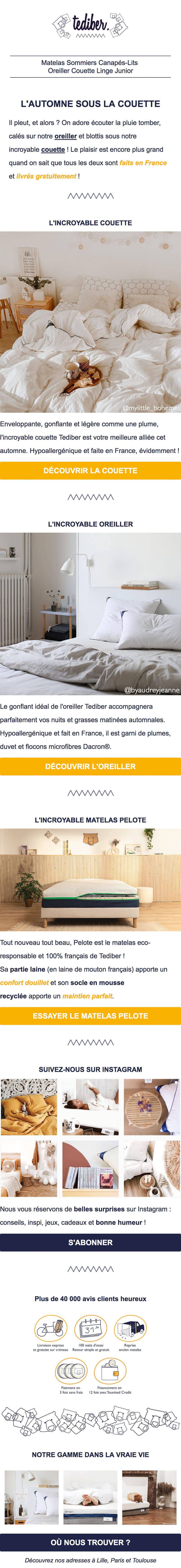 Newsletter Tediber