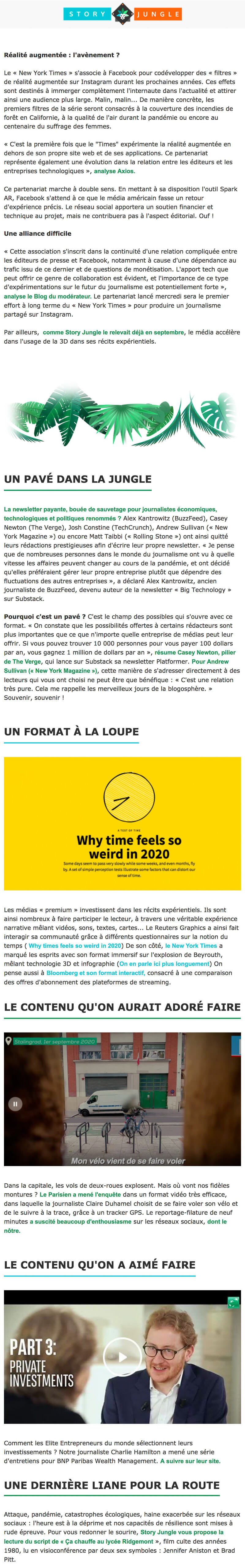 Newsletter Story Jungle