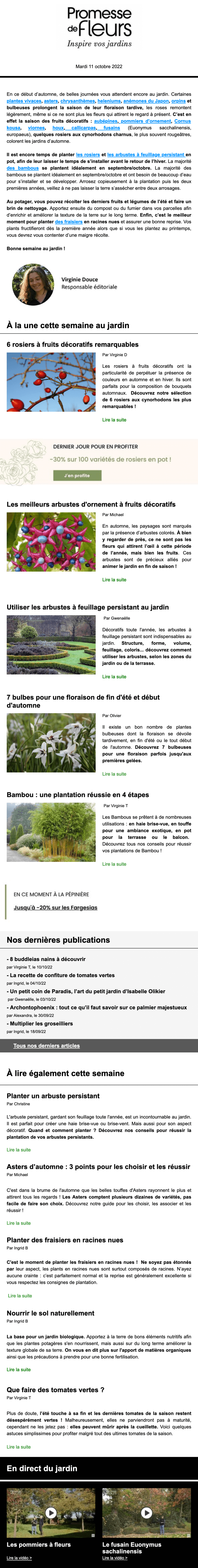 Newsletter Promesse de Fleurs