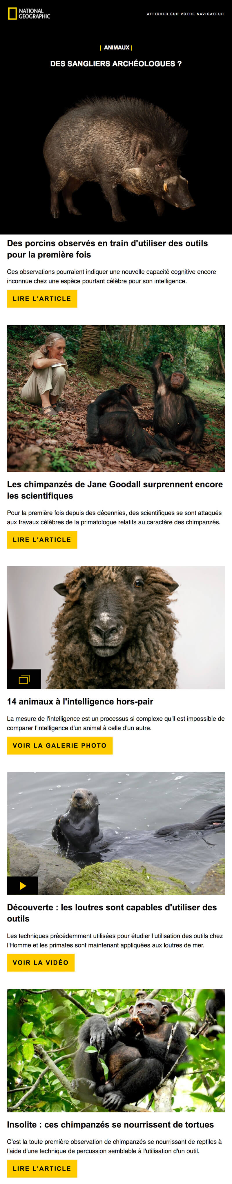 Newsletter National Geographic Animaux