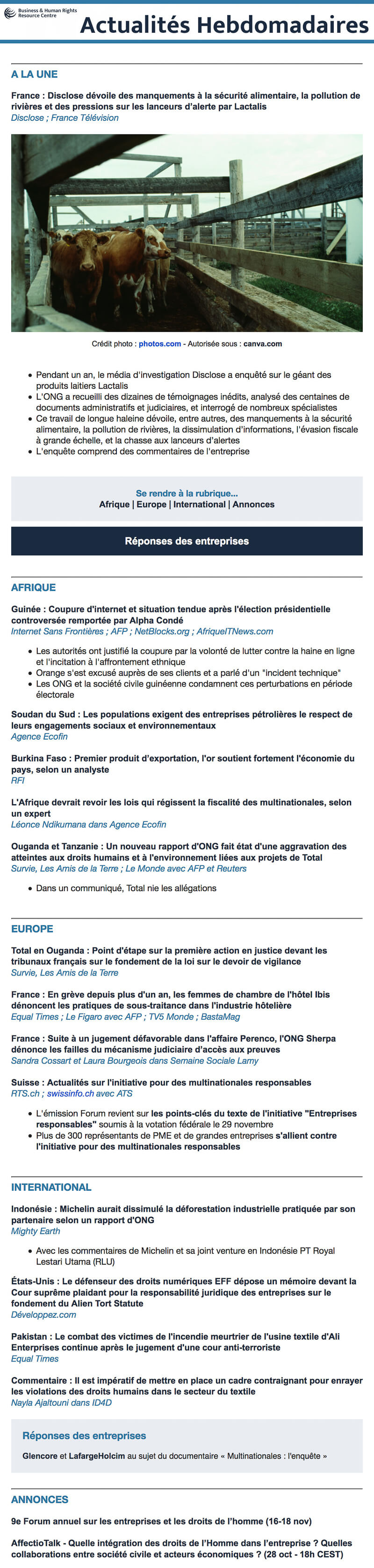 Newsletter Centre de Ressources sur les Entreprises et les Droits de l’Homme